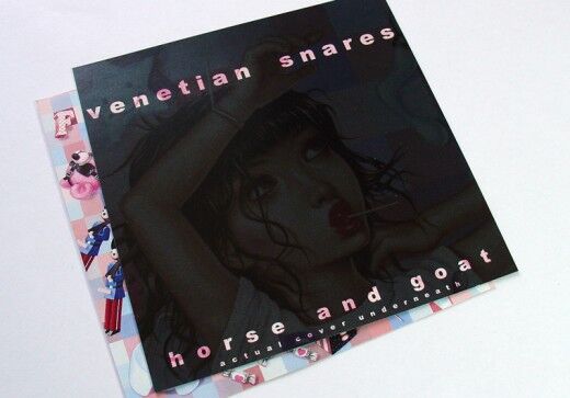 CD Packaging of the Week: Venetian Snares- Horse and Goat